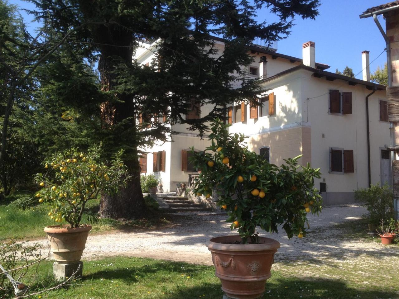 Antica Scuderia Buttrio Exterior foto